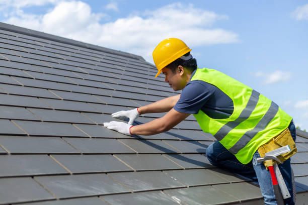 Best Best Roofing Contractors  in Forest City, IA