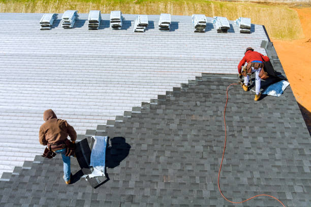 Best Metal Roofing Contractor  in Forest City, IA