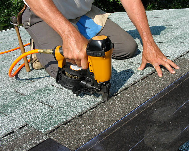 Best Roof Repair Services  in Forest City, IA