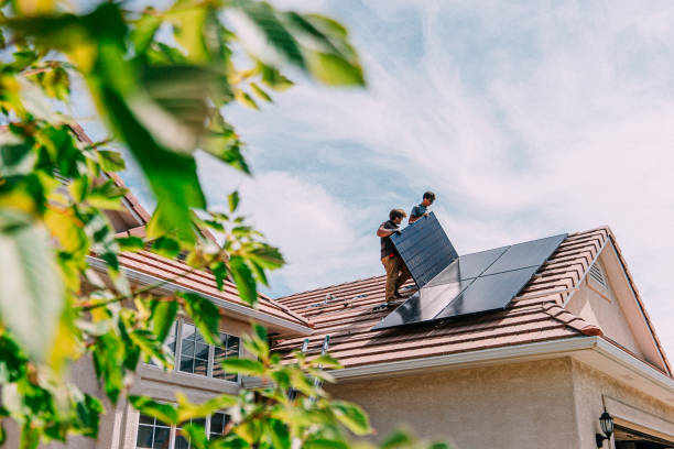 Best Flat Roof Repair Services  in Forest City, IA