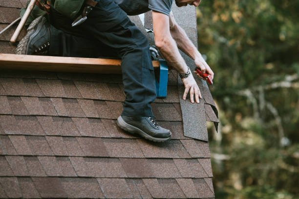 Best Shingle Roofing Installation  in Forest City, IA